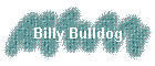 Billy Bulldog