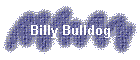 Billy Bulldog