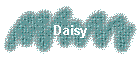 Daisy
