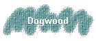 Dogwood