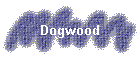 Dogwood