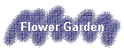 Flower Garden