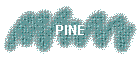 PINE