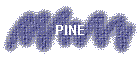 PINE
